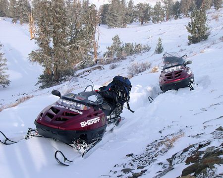 Mono SAR Sleds - February 3, 2004 - Dave Michalski Photo