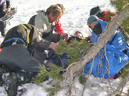 Preparing Perrault for transport