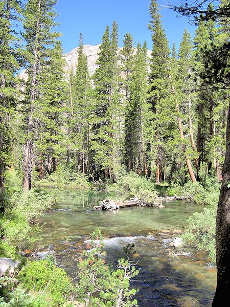 Nice scenery along the trail