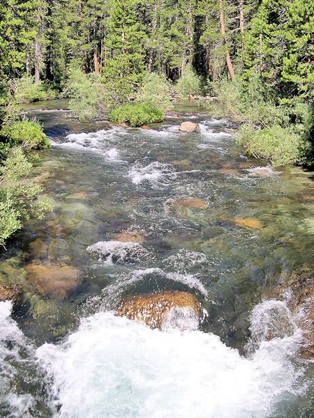 Cascading stream along the trail