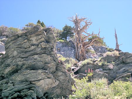 Nice scenery along the trail