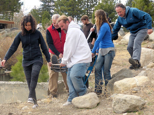 Moving the litter in varied terrain