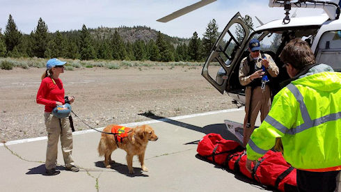 Helicopter Training