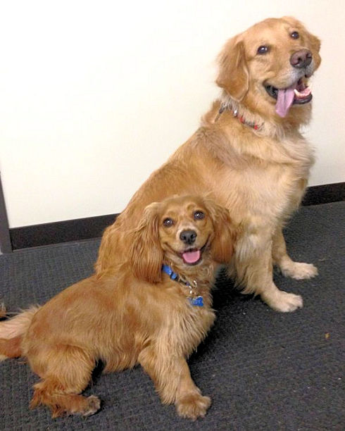 Lindy and Takoda posed nicely for a picture of the Candidate and the Old Pro