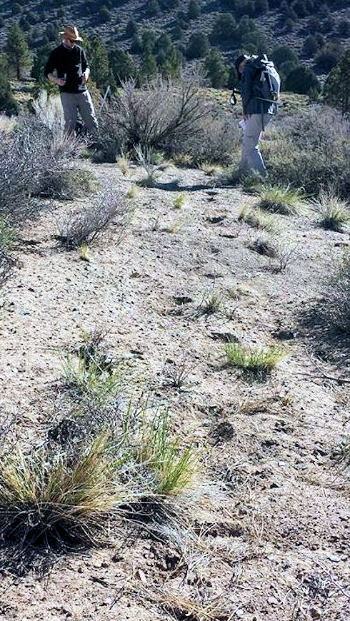 Evaluating a 'trail' of footprints