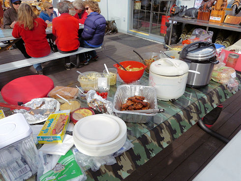 Team Picnic at Gull Lake Marina - October 25, 2015