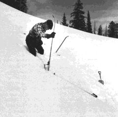 Figure 8 - If the rutschblock does not fail when it is isolated, it is progressively loaded by a person on skis.