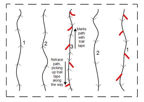 Search pattern